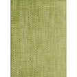 Andrew Martin SUMMIT PALM Upholstery Fabric