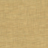 Kasmir Tao Texture Parchment Fabric