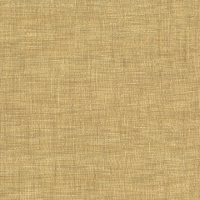 Kasmir Tao Texture Parchment Fabric