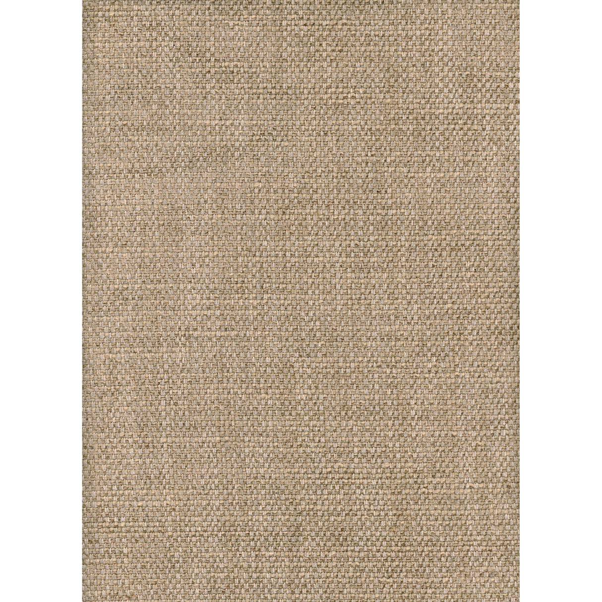 Andrew Martin PARAGGI WHEAT Upholstery Fabric