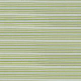 Kasmir Tatiana Stripe Aspen Fabric