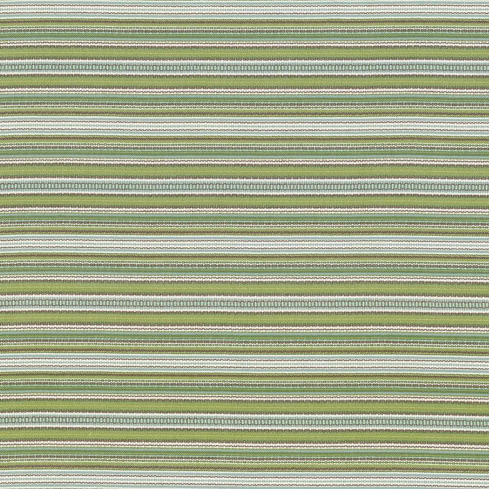 Kasmir Tatiana Stripe Key Lime Fabric