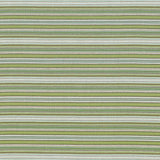 Kasmir Tatiana Stripe Key Lime Fabric
