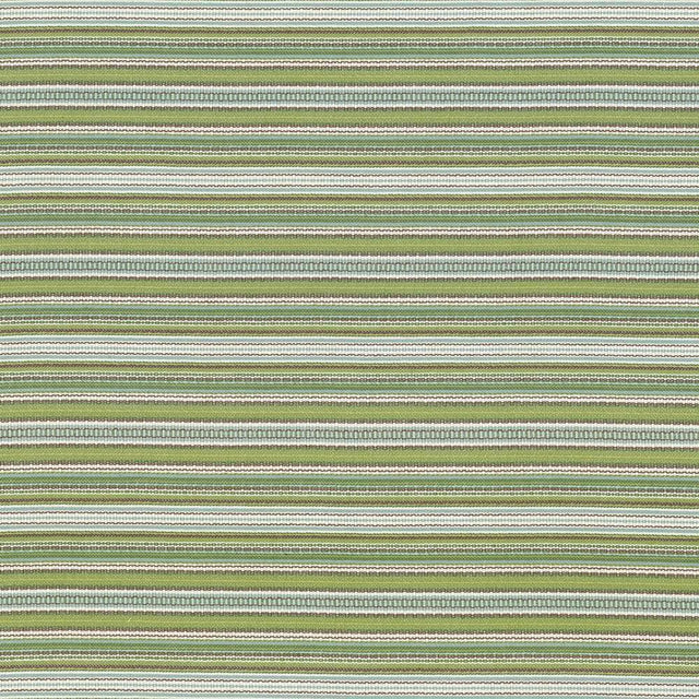 Kasmir Tatiana Stripe Key Lime Fabric
