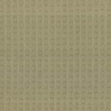 Kasmir Thatch Sage Fabric