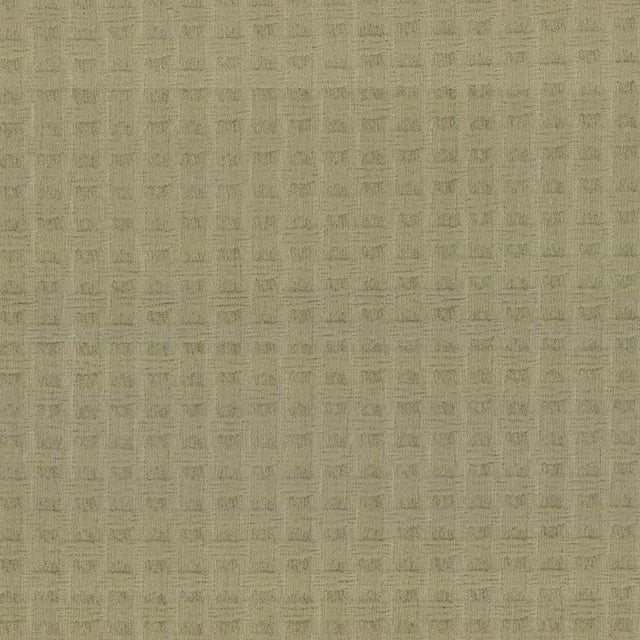Kasmir Thatch Sage Fabric
