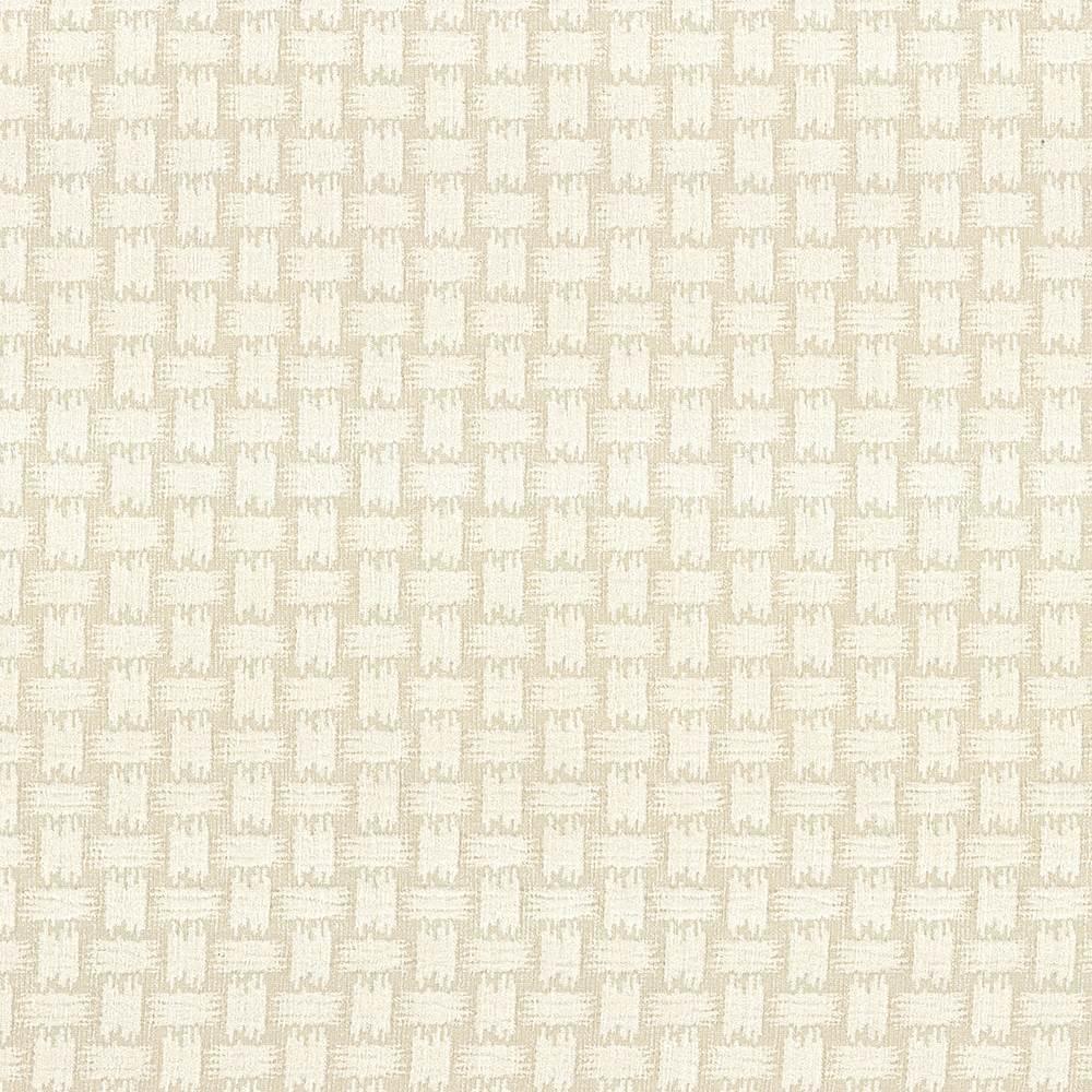 Kasmir Thatch Salt Fabric