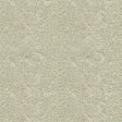 Kravet MIRRORED IMAGE SILVER Upholstery Fabric