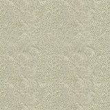 Kravet MIRRORED IMAGE SILVER Upholstery Fabric