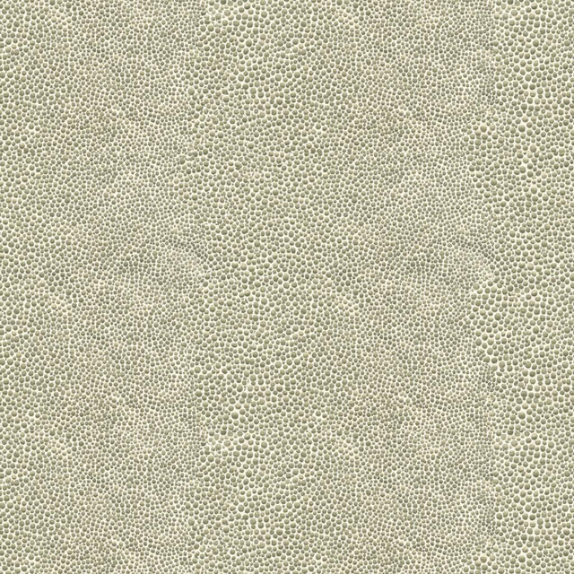 Kravet MIRRORED IMAGE SILVER Upholstery Fabric