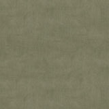 Kravet DESIGN 33125 2311 Upholstery Fabric