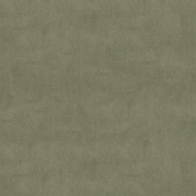 Kravet DESIGN 33125 2311 Upholstery Fabric