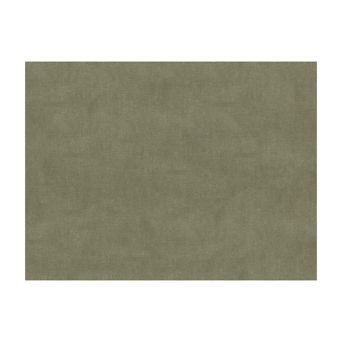 Kravet 33125 2311 Fabric
