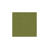 Kravet 33120 3 Fabric