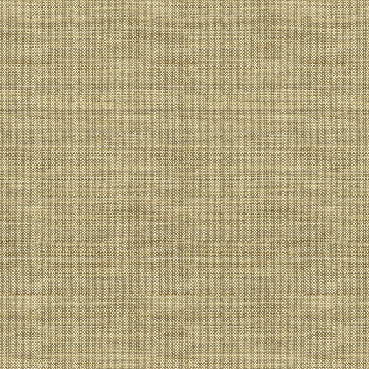 Kravet ELECT MOONSTONE Upholstery Fabric