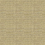 Kravet ELECT MOONSTONE Upholstery Fabric