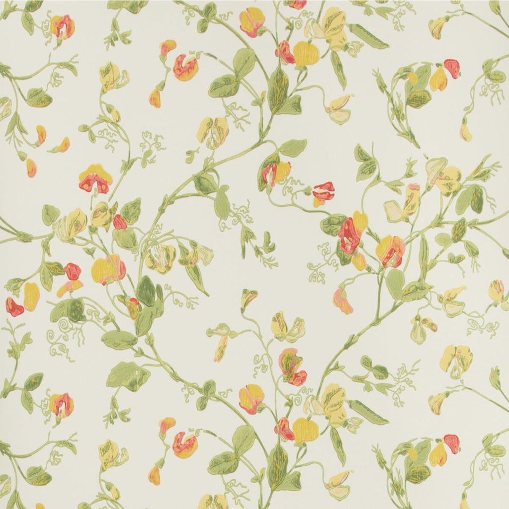 Cole & Son SWEET PEA PINK & YELLOW Wallpaper