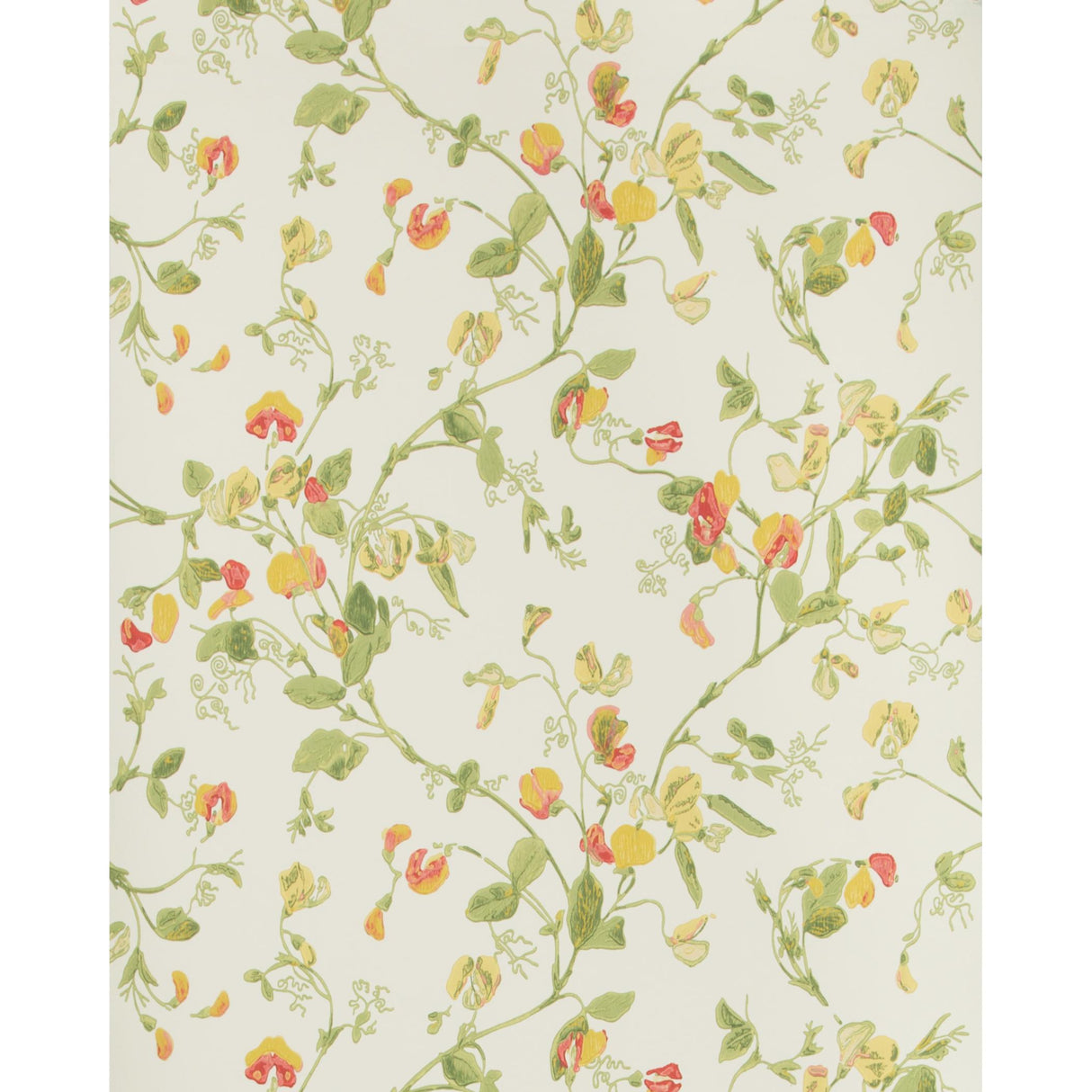 Cole & Son SWEET PEA PINK & YELLOW Wallpaper