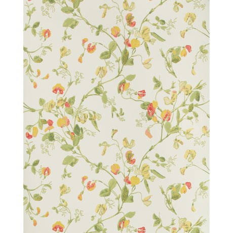 Cole & Son SWEET PEA PINK & YELLOW Wallpaper