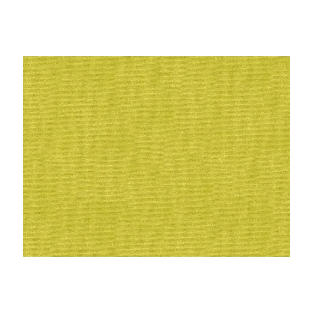 Kravet 33125 3 Fabric