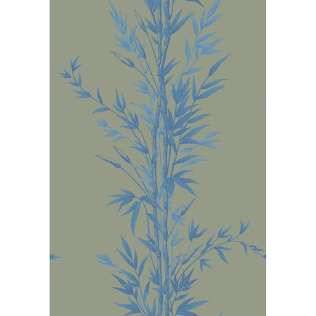 Cole & Son BAMBOO BLUE ON KHAKI Wallpaper