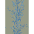 Cole & Son BAMBOO BLUE ON KHAKI Wallpaper