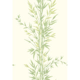 Cole & Son BAMBOO GREEN Wallpaper