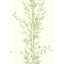 Cole & Son BAMBOO GREEN Wallpaper