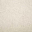 Pindler OUTBACK BISQUE Fabric