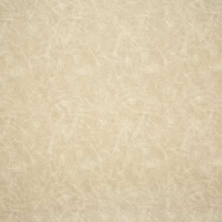 Pindler WRANGLER BUFF Fabric