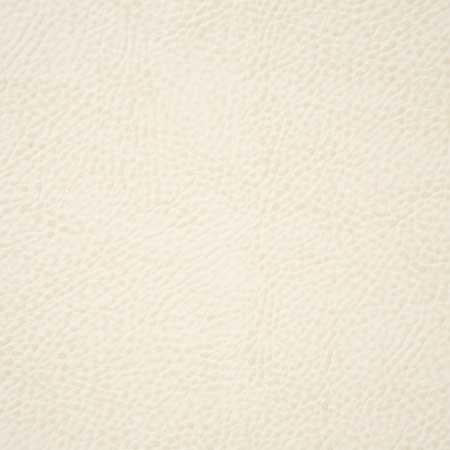 Pindler BUCKAROO WHITE Fabric