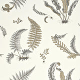 G P & J Baker FERNS DOVE GREY/SILVER Wallpaper