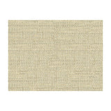Kravet Do The Hustle Glacier Fabric