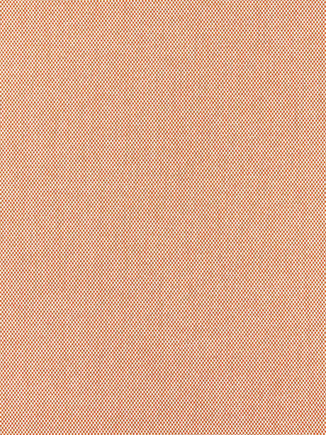 Scalamandre Hopsack Mango Fabric