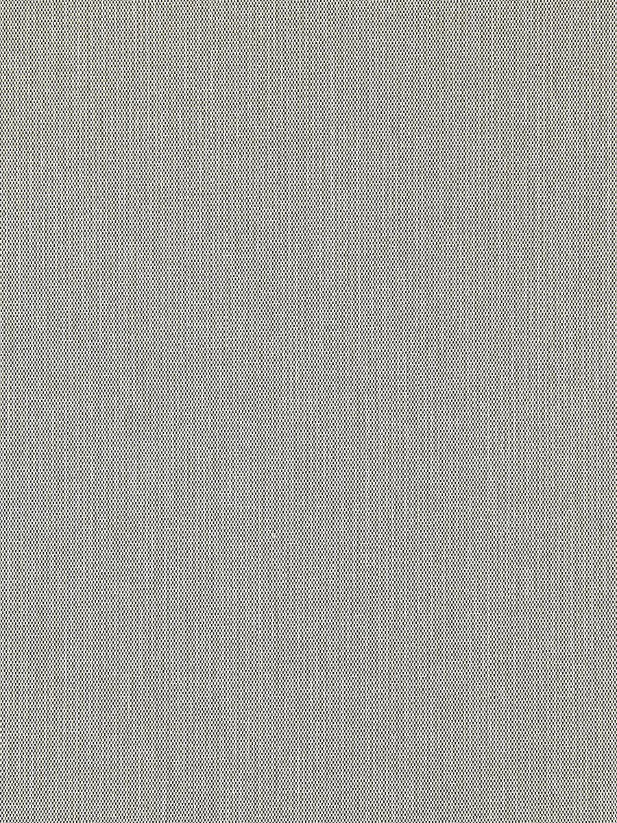 Scalamandre Canvas Stone Fabric