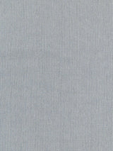 Scalamandre Canvas Storm Fabric