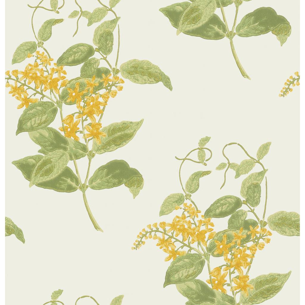 Cole & Son Madras Violet Yellow Wallpaper