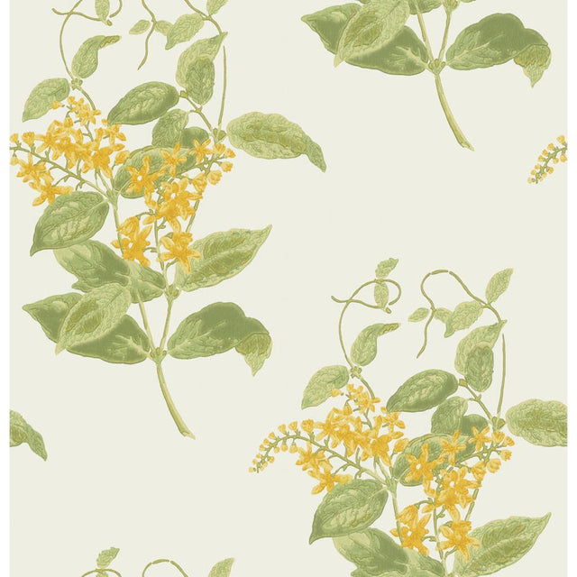 Cole & Son MADRAS VIOLET YELLOW Wallpaper