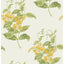 Cole & Son MADRAS VIOLET YELLOW Wallpaper