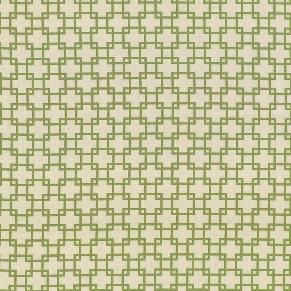 Kasmir Tunechi Kiwi Fabric