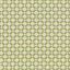 Kasmir Tunechi Kiwi Fabric