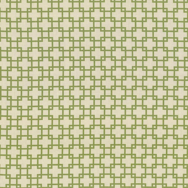 Kasmir Tunechi Kiwi Fabric