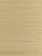 Scalamandre Metal Sisal White Gold Wallpaper