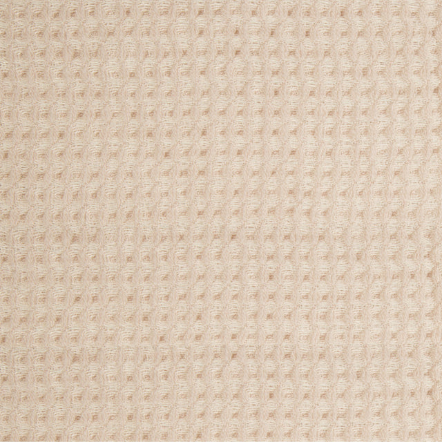 Kravet SCULPTURAL BLUSH Drapery Fabric