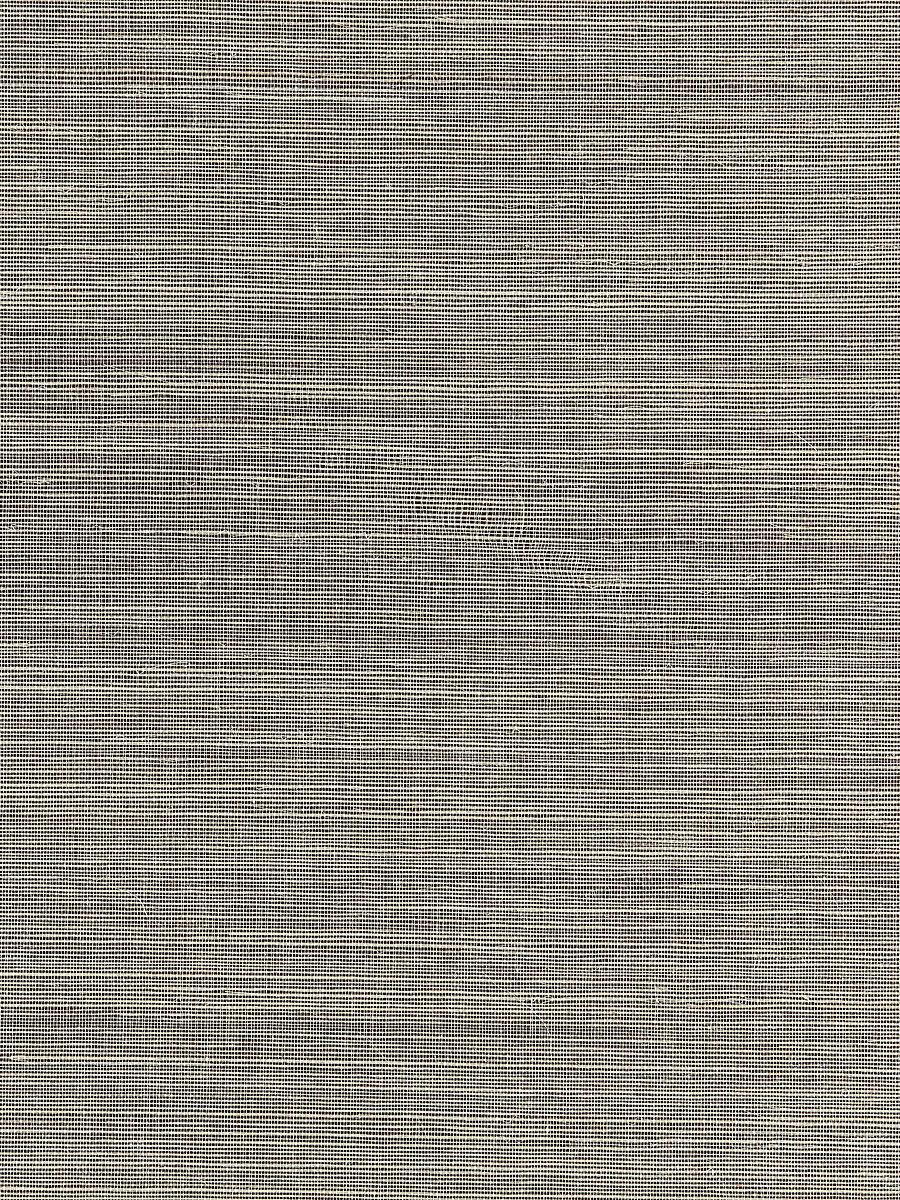 Scalamandre Fine Sisal Safari Wallpaper