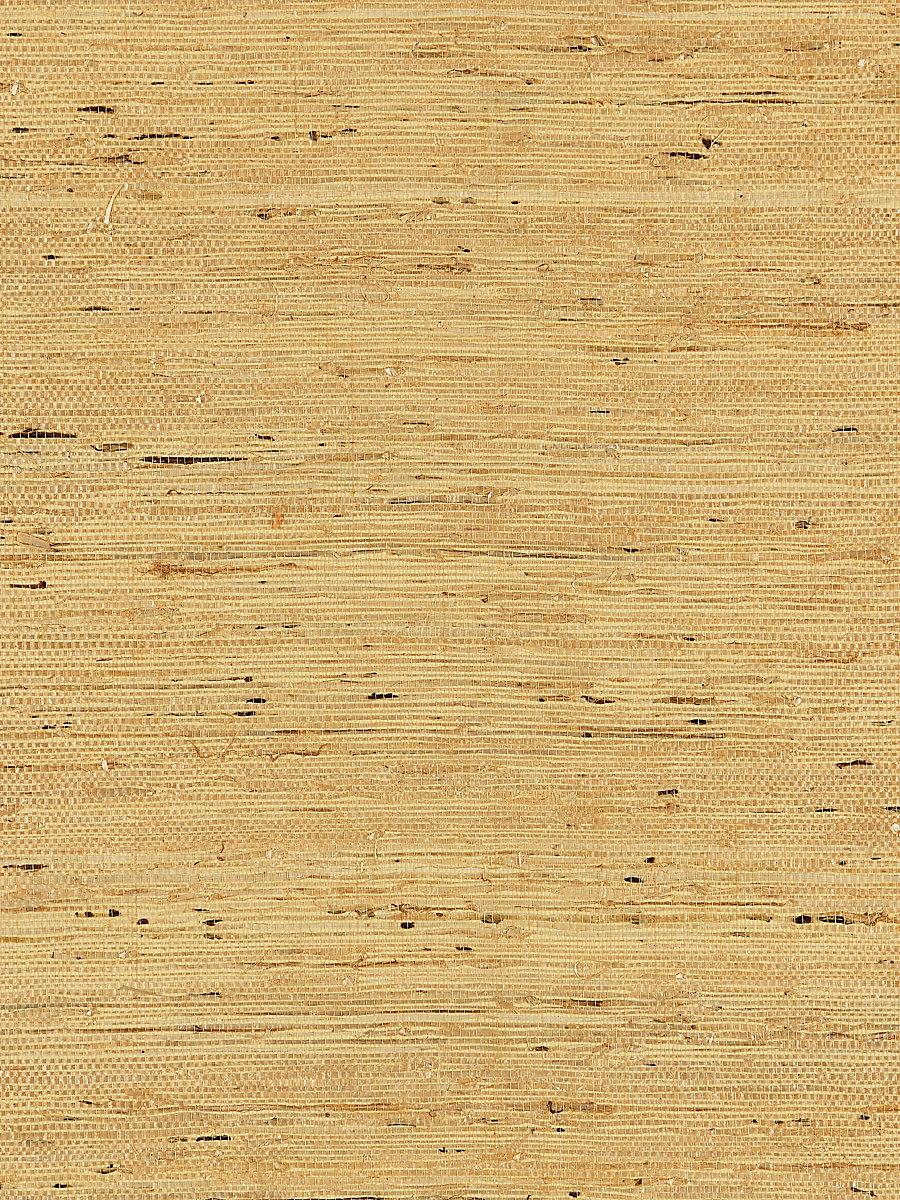 Scalamandre Arrowroot Weave Honey Wallpaper