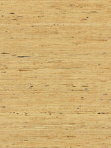 Scalamandre Arrowroot Weave Honey Wallpaper