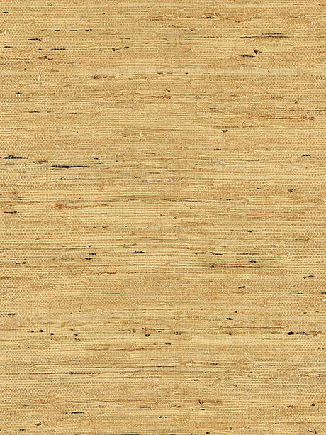 Scalamandre Arrowroot Weave Honey Wallpaper