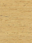 Scalamandre Arrowroot Weave Honey Wallpaper