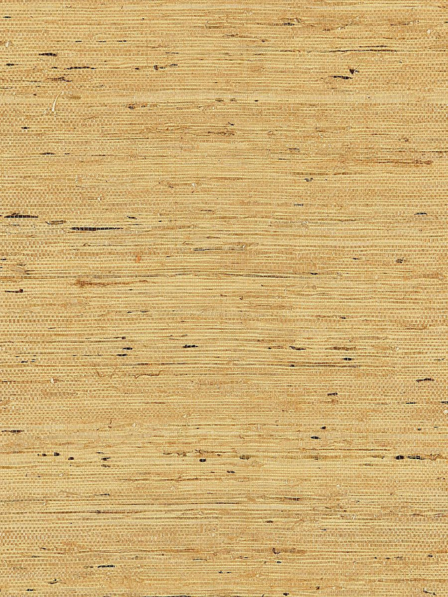 Scalamandre Arrowroot Weave Honey Wallpaper